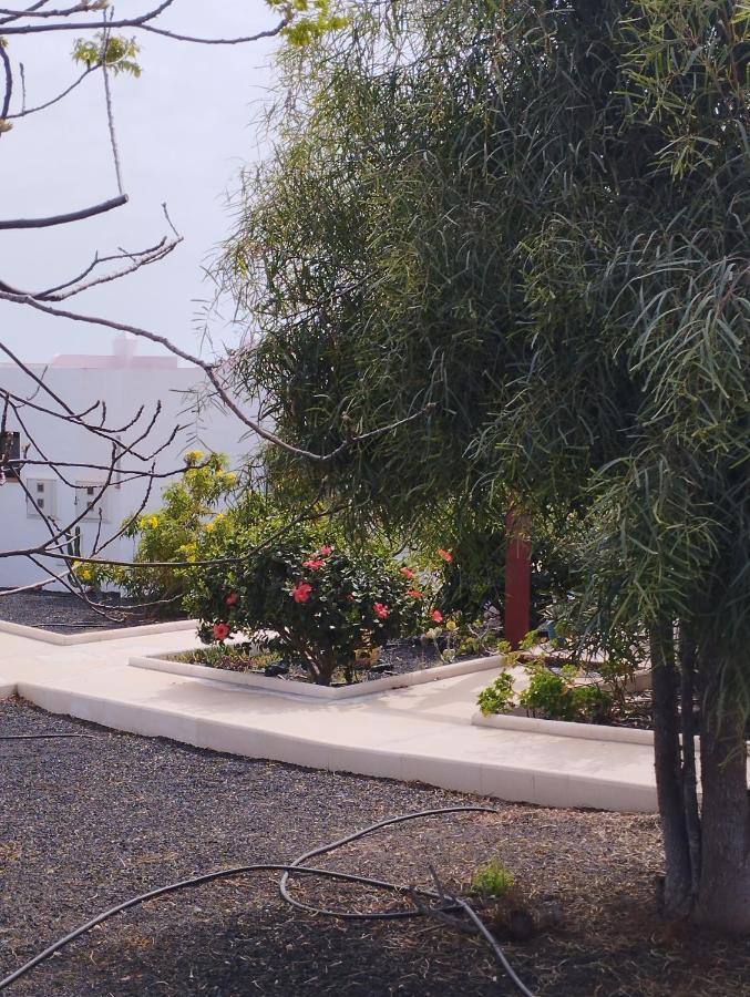 Casa Solymar Canarias 6 Villa Калета де Фусте Екстериор снимка